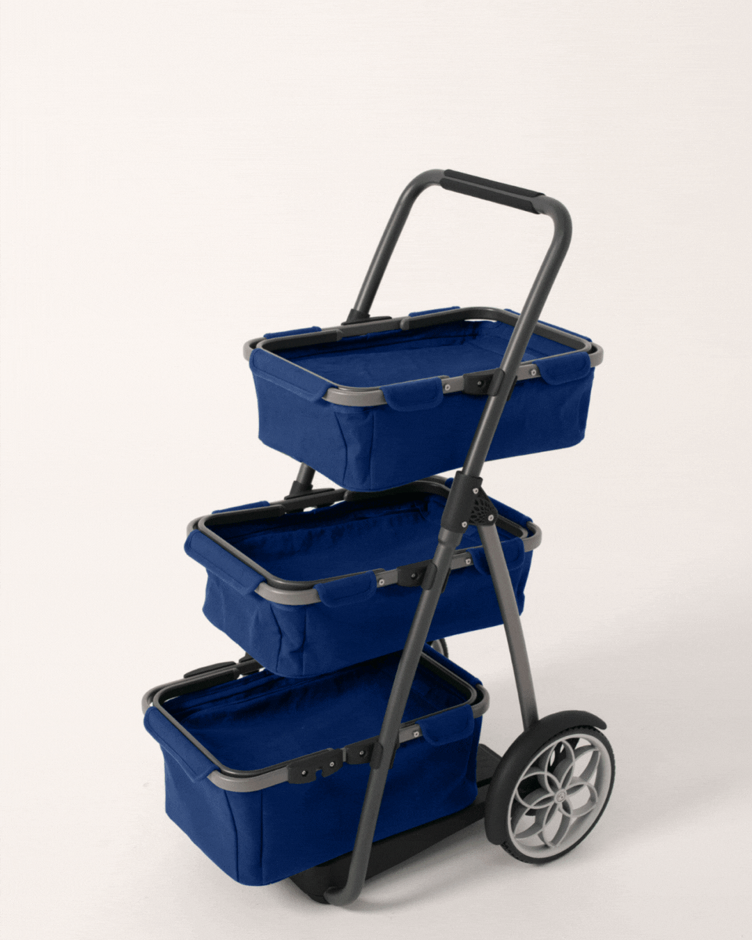 The Five-Year Journey: Launching the Marketday Shopping Cart